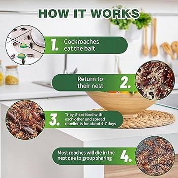 Cockroach Killer for Kitchens Bathrooms and Cabinets Eco-Friendly Home Remedy for Indoor Cockroach Control (Pack of 2)